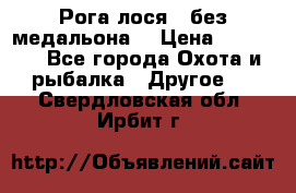 Рога лося , без медальона. › Цена ­ 15 000 - Все города Охота и рыбалка » Другое   . Свердловская обл.,Ирбит г.